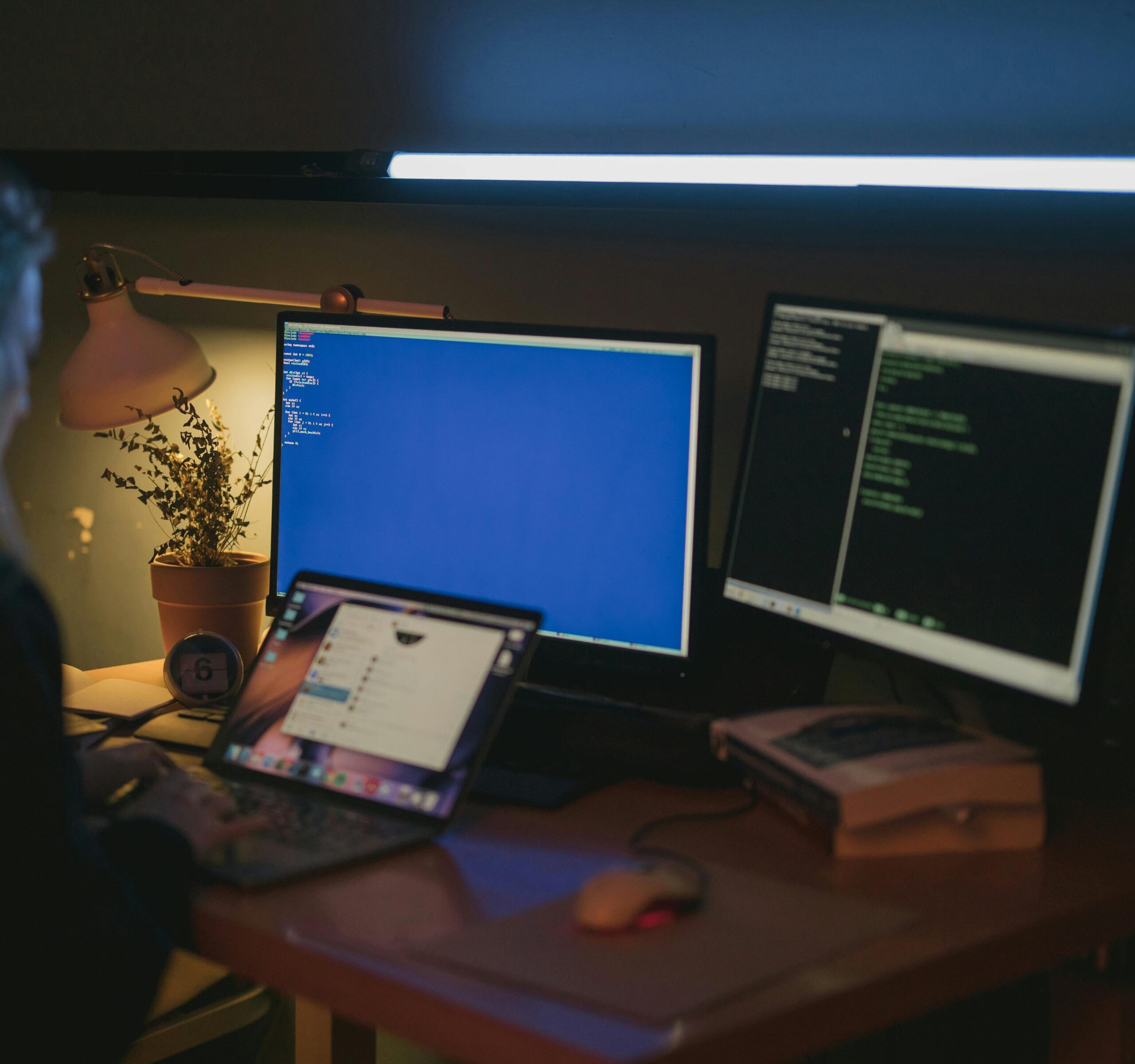 Denisa Alla Portfolio Work